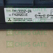 TM130DZ24