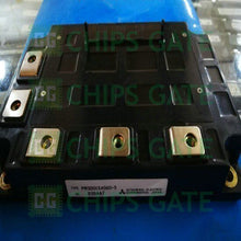 PM300CSA060