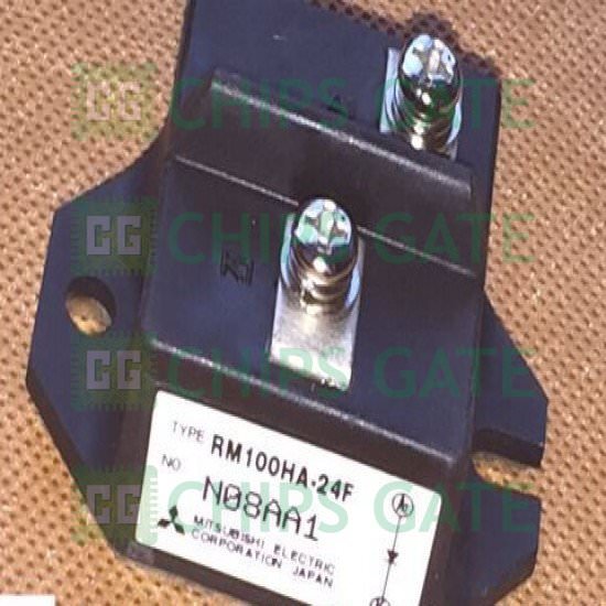 RM100HA24F