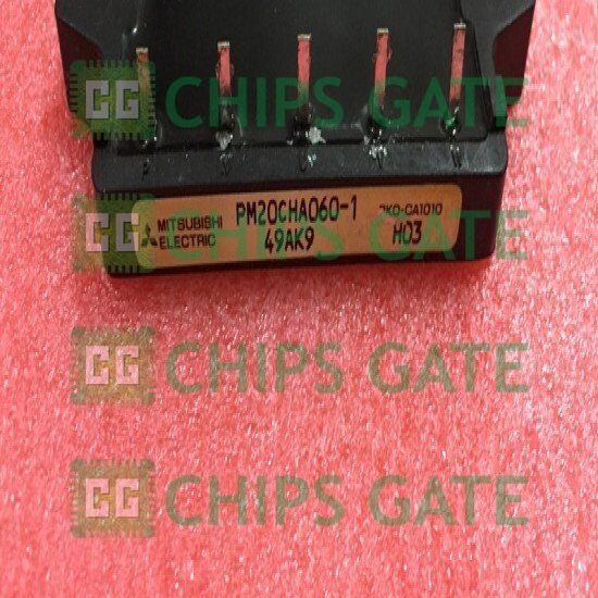 PM20CHA0601