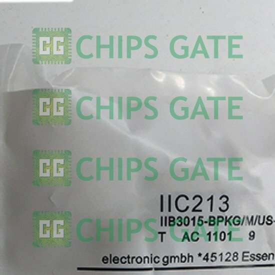 Ifm IIC213
