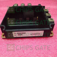 PM300CSD060
