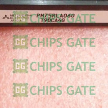 PM75RLA060