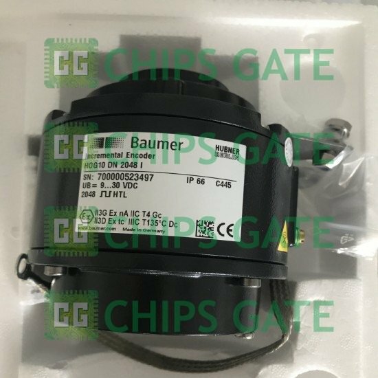 Baumer HOG10DN2048I