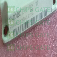 Eupec BSM100GB170DN2E3256