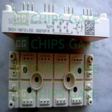 SKDH14612L100