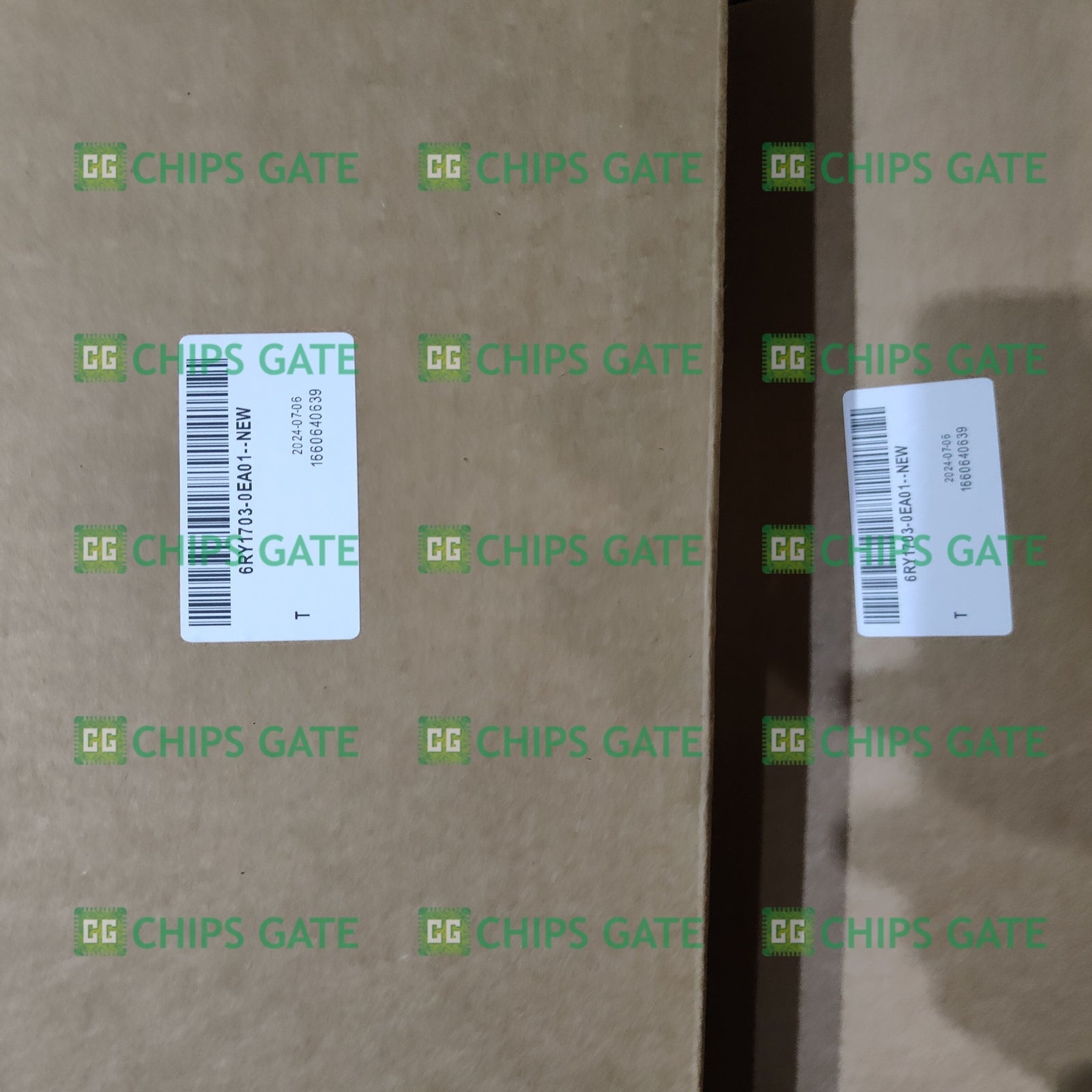 6RY17030EA01