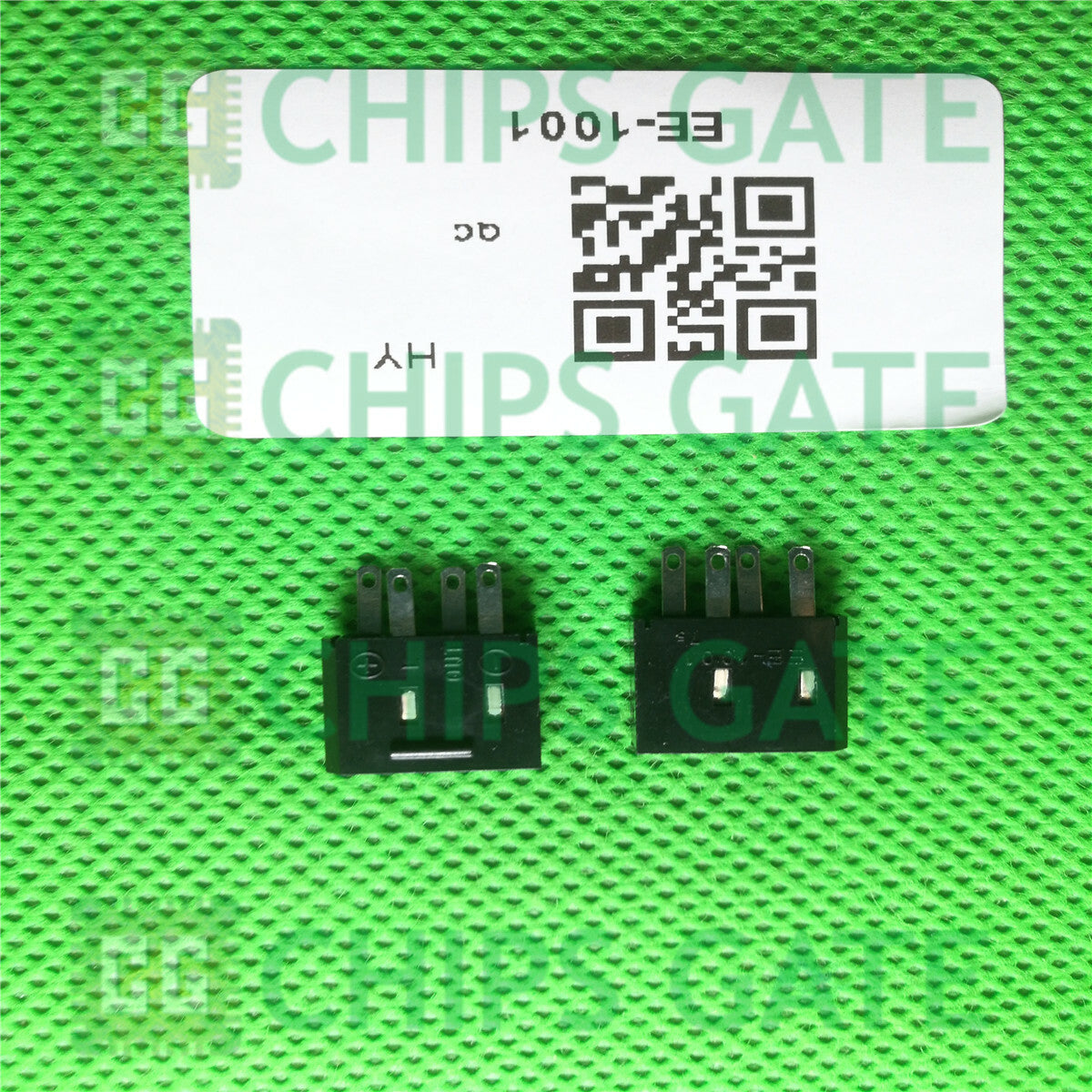 EE1001