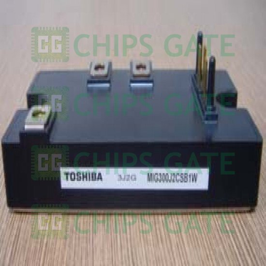 Toshiba MIG300J2CSB1W