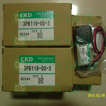 Ckd 3PB119-00-3