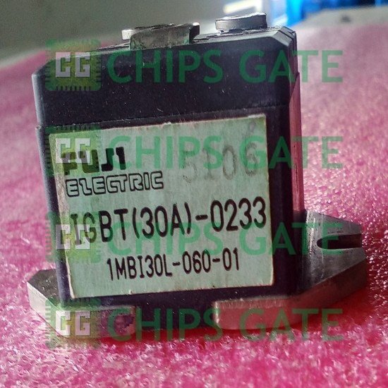 1MBI30L06001