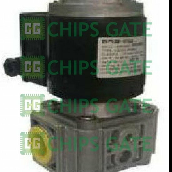 Brahma EG25*S.3*GMO