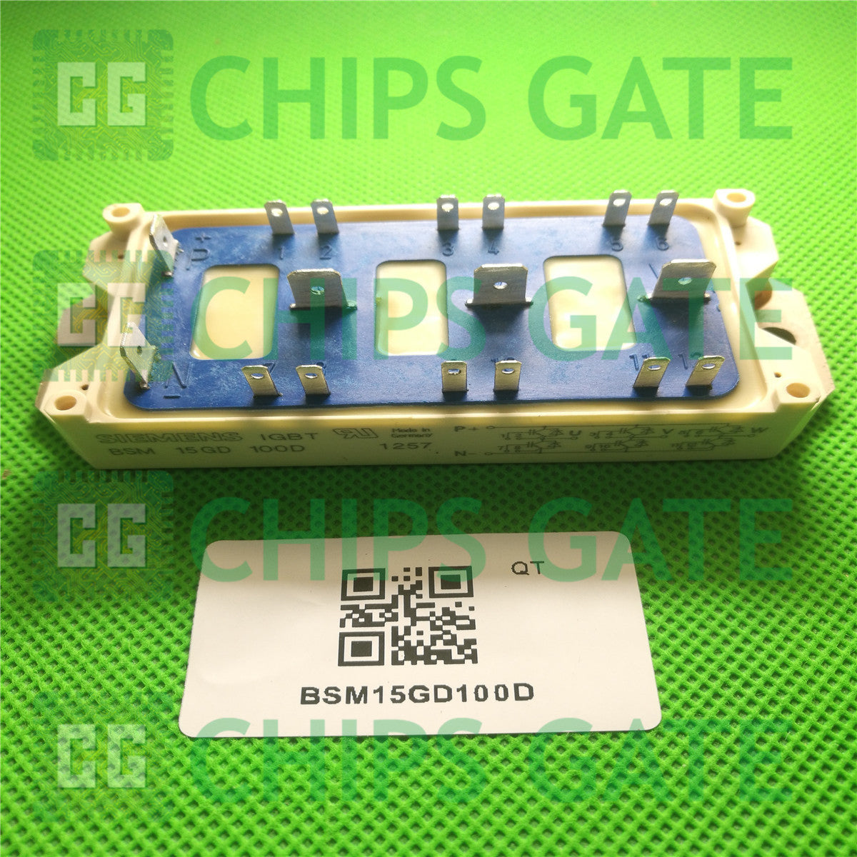 BSM15GD100D