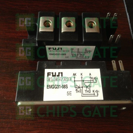 EMGG3108S
