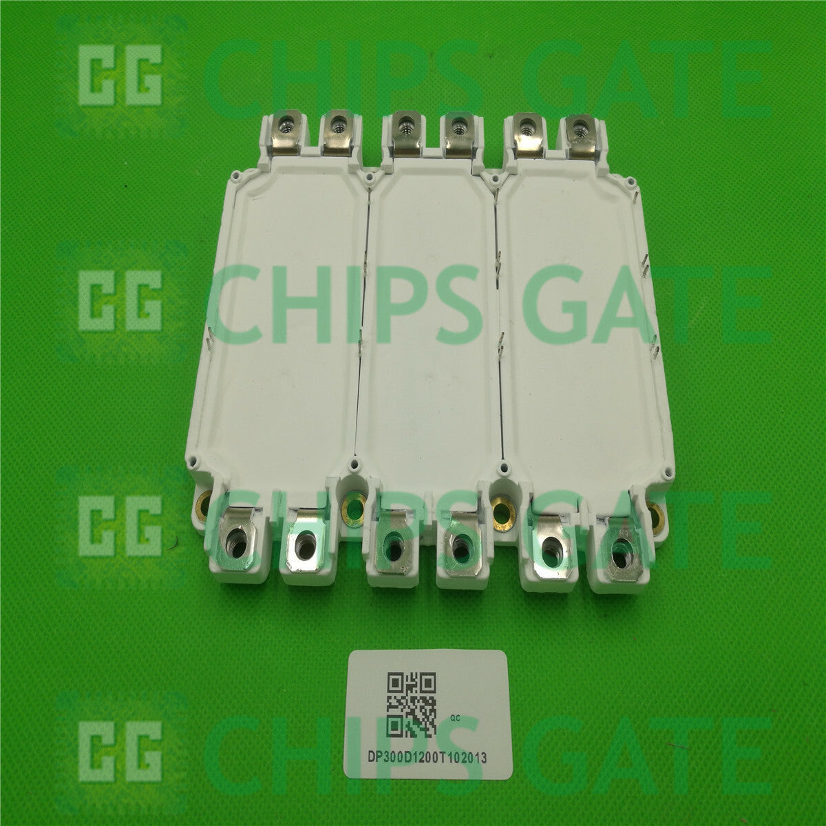 DP300D1200T102013