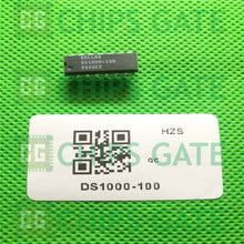 Dallas DS1000-100