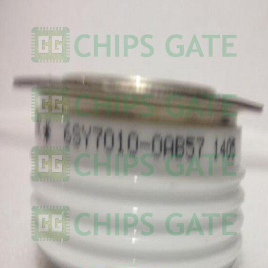 6SY70100AB57