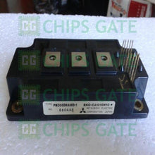 PM300DHA060