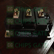 Toshiba MG300Q2YS65H