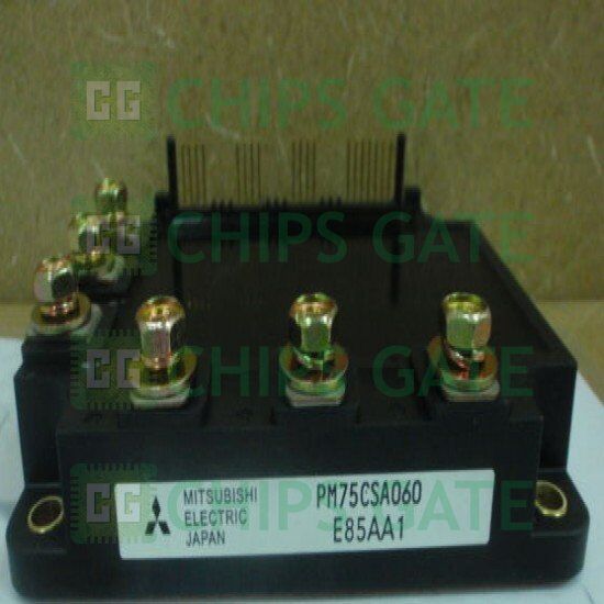 PM75CSA060