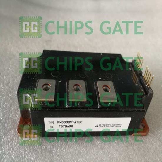 PM300DV1A120