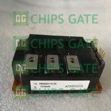 PM300DV1A120