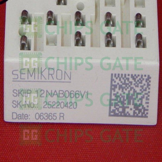 SKIIP12NAB066V1