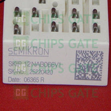 SKIIP12NAB066V1