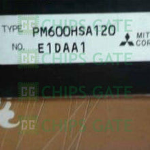 PM600HSA120