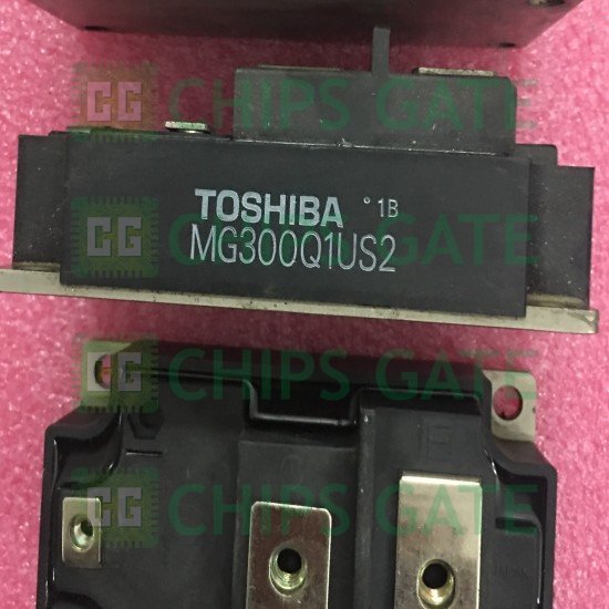 Toshiba MG300J1US2
