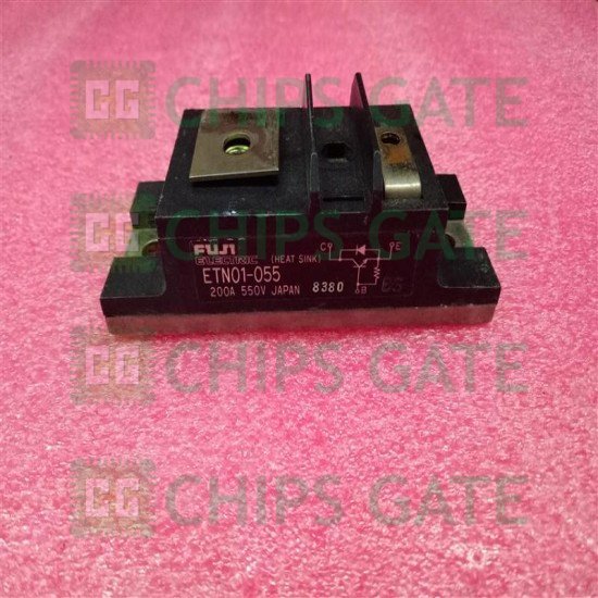 ETN01055