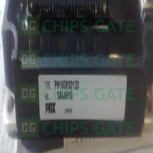 PM100RSD120
