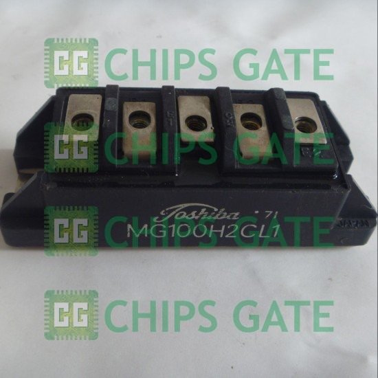 Toshiba MG100H2CL1