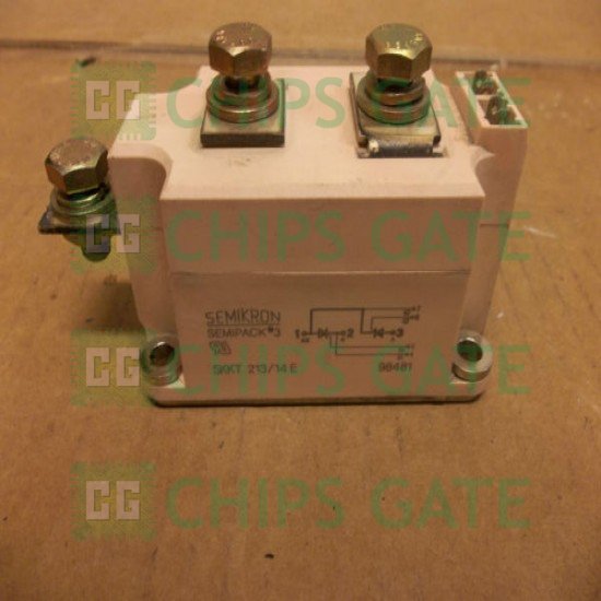 SKKT21314E