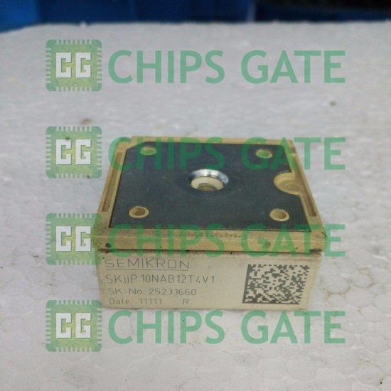 SKIIP10NAB12T4V1