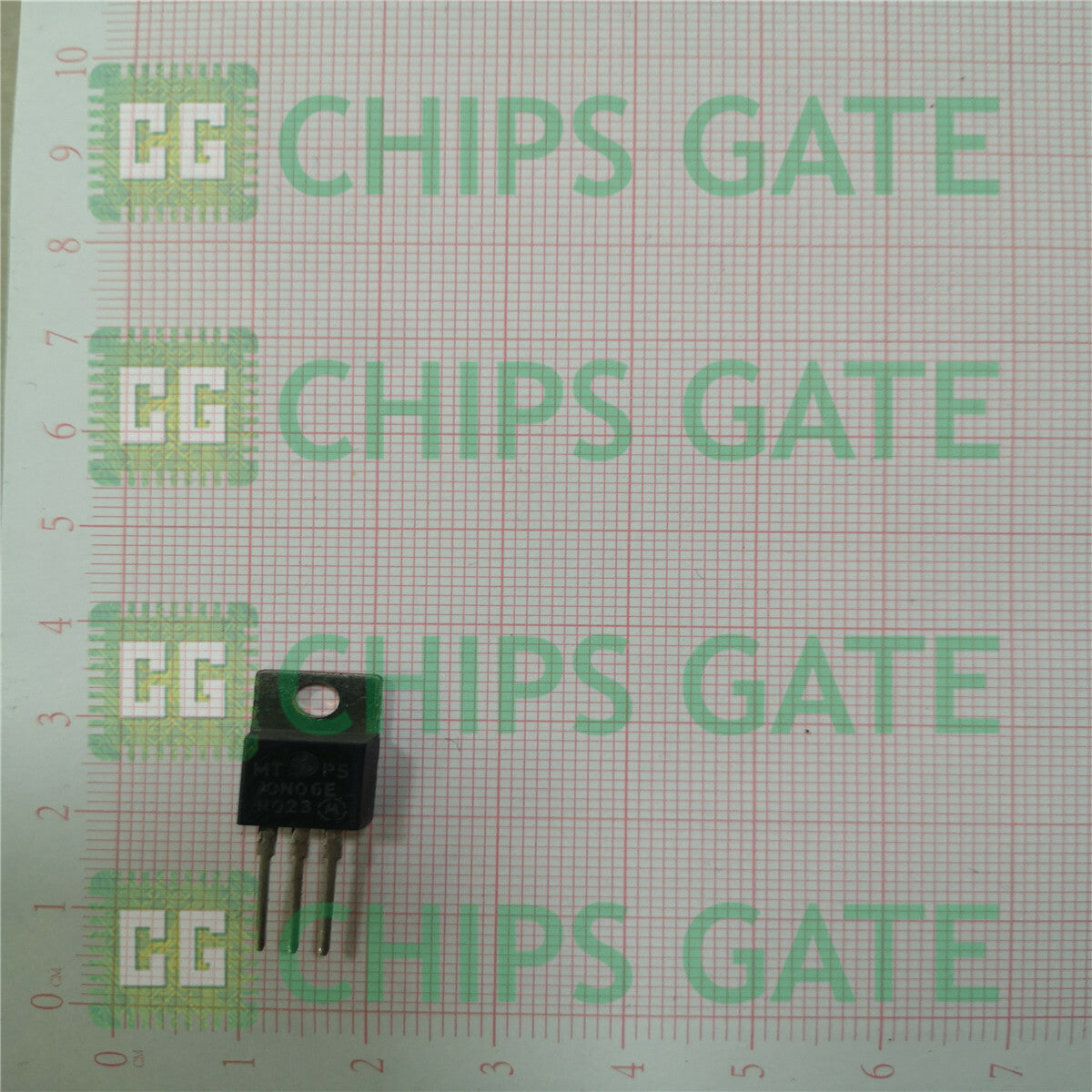 Motorola MTP50N06E