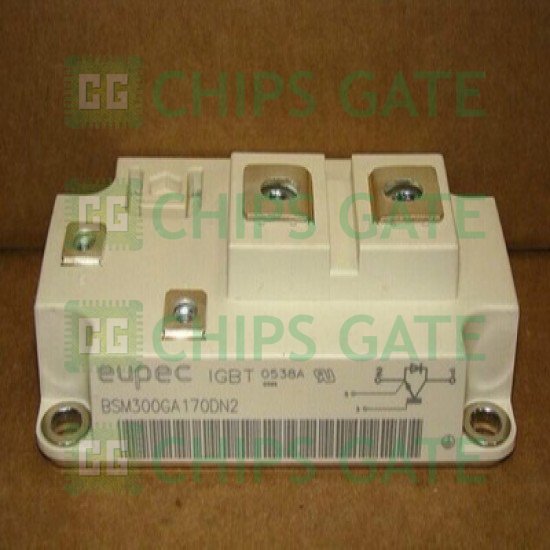 BSM300GA170DN2