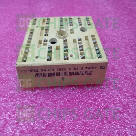 K229A02