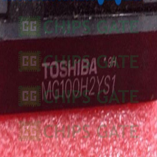 Toshiba MG100H2YS1
