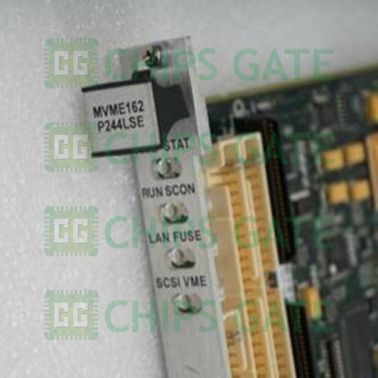 Motorola P244LSE