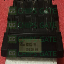 6DI30Z100
