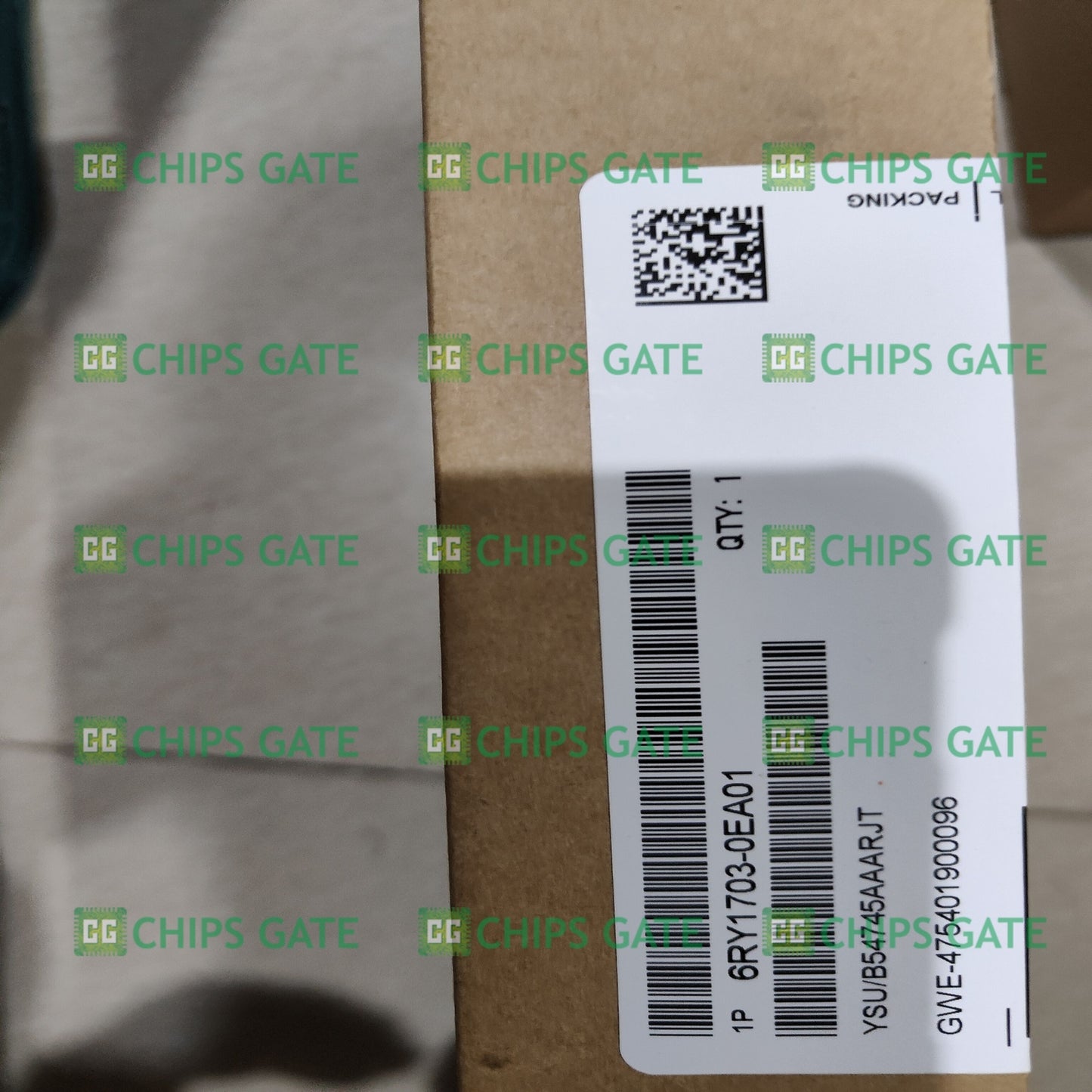 6RY17030EA01