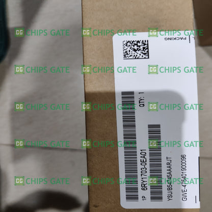 6RY17030EA01