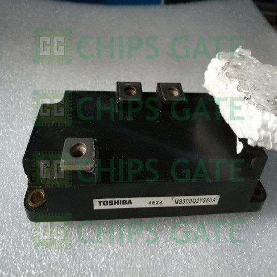 Toshiba MG300Q2YS60A