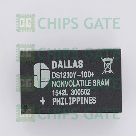 Dallas DS1230Y-100+