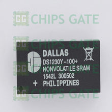 Dallas DS1230Y-100+