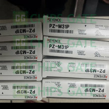 PZM31P