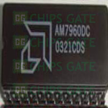 Amd AM7960DC