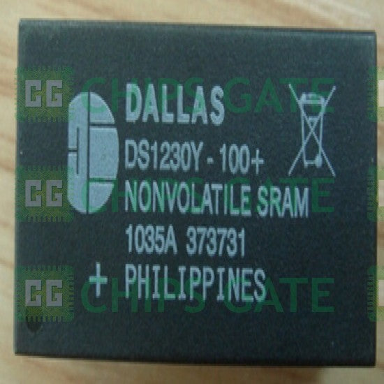 Dallas DS1230Y-200