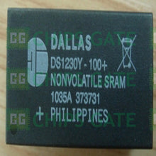 Dallas DS1230Y-200